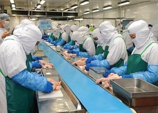 editor_image_a7eaeada5b729b979cab77e960350461